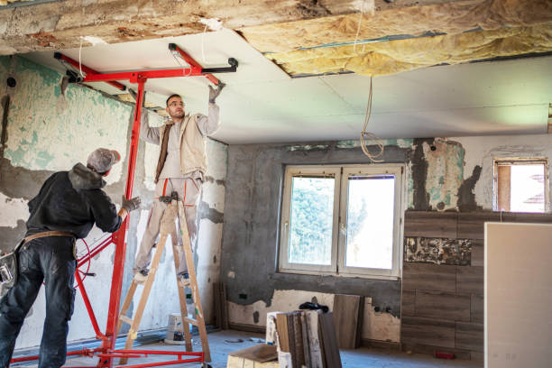 Best Eco-Friendly Insulation in Stromsburg, NE