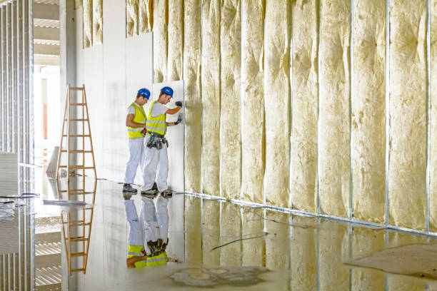 Best Spray Foam Insulation in Stromsburg, NE